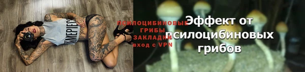 скорость mdpv Лагань