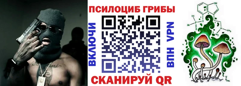 Псилоцибиновые грибы мицелий Любань